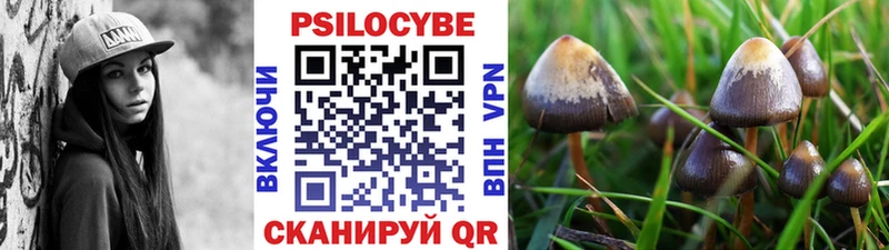Псилоцибиновые грибы Psilocybe  гидра ТОР  Новоаннинский 